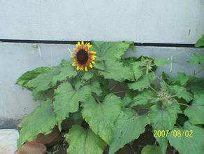 �˿�����û�мǺ���Ƶ������Ժ�칫������2014�겿�ֽڼ��հ���...